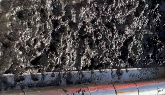 Ny norsk forskning peger på, at svovlforbindelser er den afgørende faktor bag dårlige forhold på havbunden – og at mikroorganismer spiller en langt større rolle for havets sundhed, end man hidtil har troet. foto: Knut Rudi Forskning.no