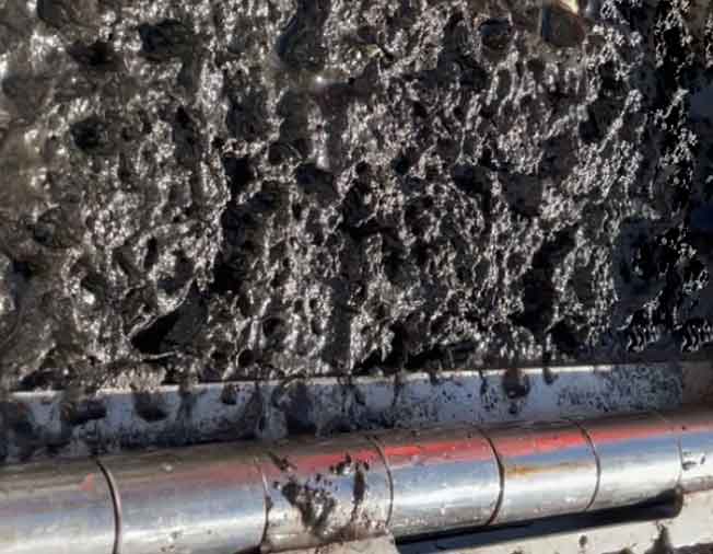 Read more about the article Norsk forskning: Svovl kan være den skjulte årsag til livløse havbunde