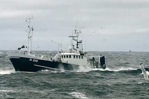 Bornholmsk fisker mister retten til ophugningsstøtte. foto: henrik bechmann