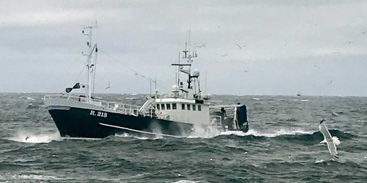 Bornholmsk fisker mister retten til ophugningsstøtte. foto: henrik bechmann