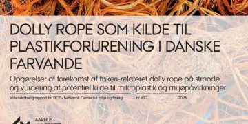 Fiskere og branchefolk rejser alvorlige spørgsmål til DCE Aarhus Universitets konklusioner om »dolly rope«, plastaffald og ansvar. snapshot DCE rapport