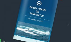 Fiskeproducenter efterlyser bedre vækstbetingelser.  foto: rapporten om Dansk fiskeri og Akvakultur