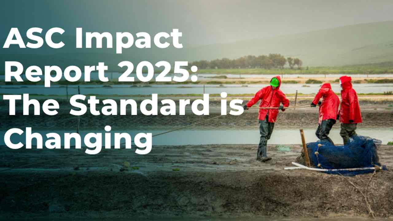 ASC Rapport 2025