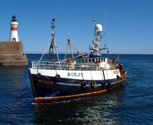 Den skotske fiskeflåde kraftigt reduceret  Foto: David Tait