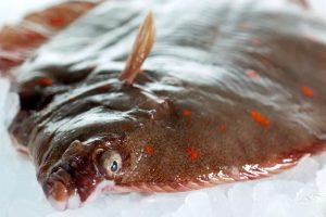 Rødspættefiskeriet i 2023 ender med store ubrugte kovter arkivfoto: FiskerForum.dk
