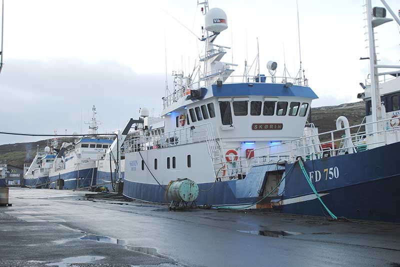 Read more about the article Færøske redere: Udsæt gennemførelse af ny fiskeripolitik
