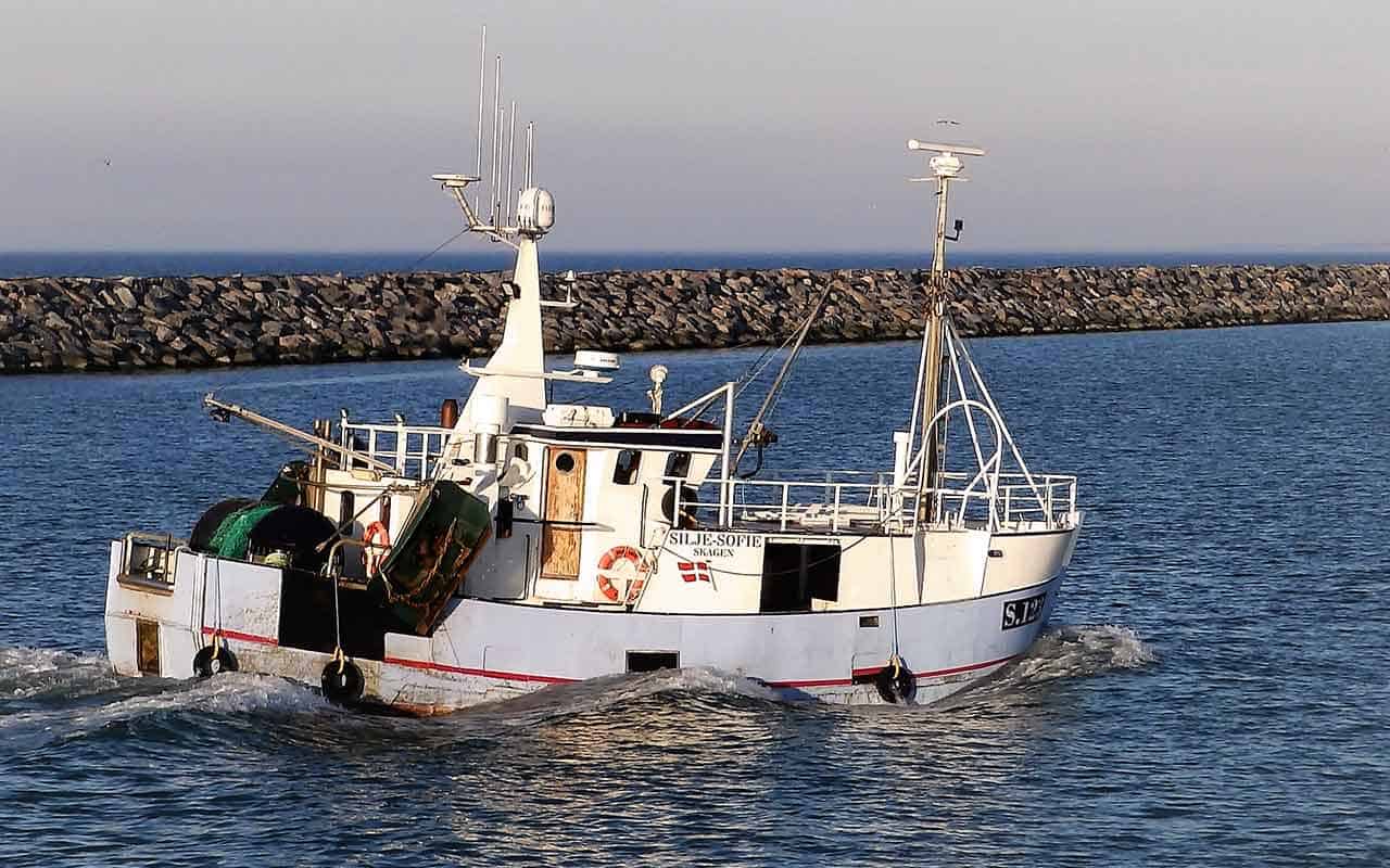 Read more about the article Fiskeristyrelsen taber sag om overfiskeri til Nordjysk fisker