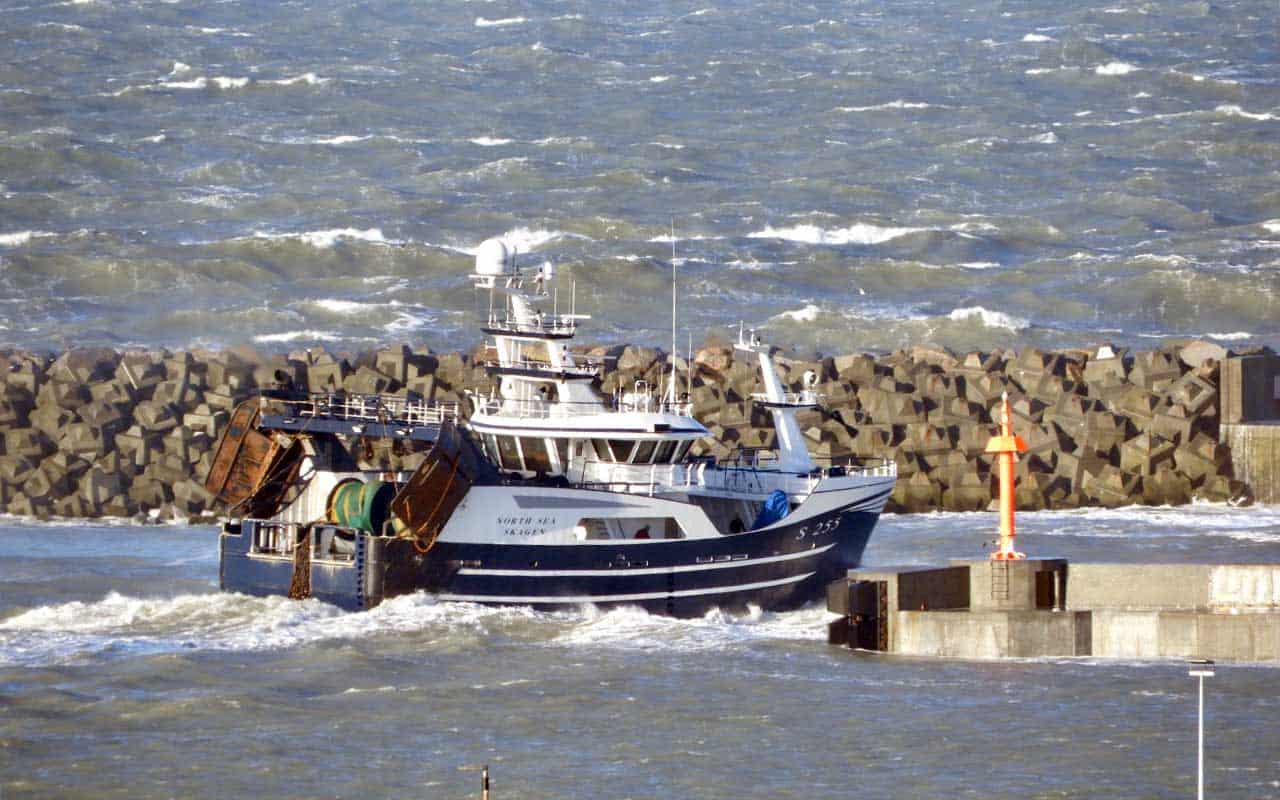 Read more about the article Fiskeriministeren til fiskerne, det er jeres egen skyld..