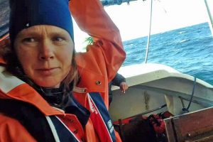 Svensk forsker: Sælerne påvirker kystnære fiskebestande