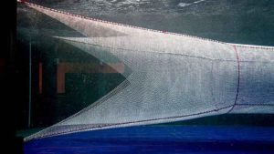 DPPO er sammen med Egersund Trawl DK og det norske Havforskningsinstitut (IMR) i gang med at udvikle et nyt selektionsredskab til det pelagiske fiskeri.  foto: IMR