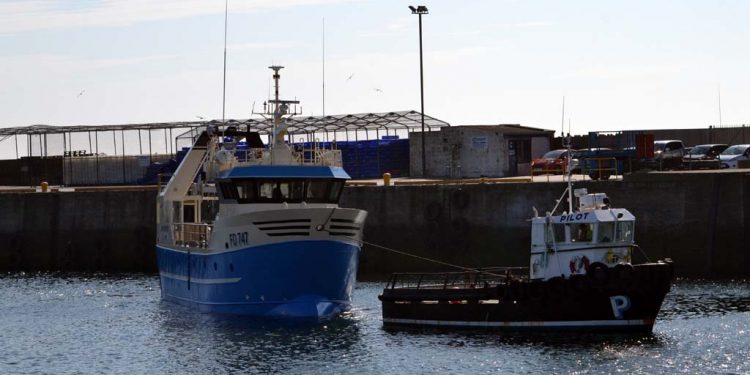 færøsk trawler lander blandet fisk