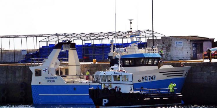 I Leirvík landede den mindre trawler **Sigatindur** 15.000 pund fisk, hvoraf det meste var torsk, havtaske og kuller. Foto: TrawlerPhoto