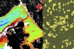 foto: Bengt karlson SKHI