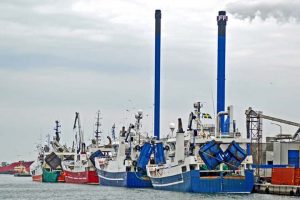Skagen Havn cementerer sig som Danmarks største fiskerihavn.  Foto: Skagen Havn