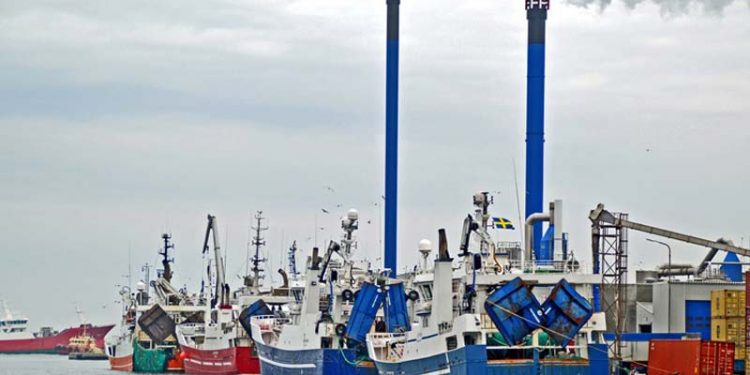 Skagen Havn cementerer sig som Danmarks største fiskerihavn.  Foto: Skagen Havn