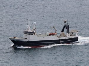 I Klaksvík har partrawlerne Skoraberg og Fuglberg i sidste uge landet 150 tons guldlaks. foto: Fiskur.fo