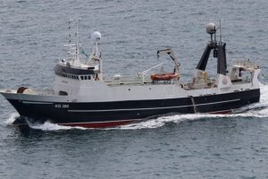 I Klaksvík landede partrawlerne **Fuglberg** og **Skoraberg** i sidste uge en last på 180 tons guldlaks til Kósin, som blev kørt til Tavuna i Leirvík. foto: Kiran J