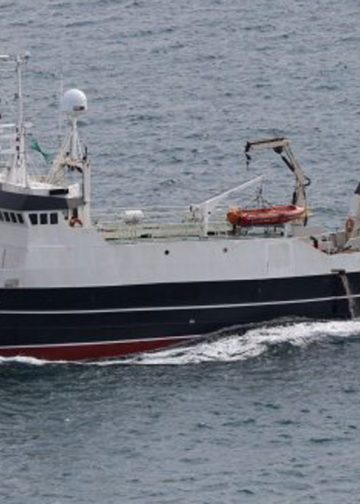 I Klaksvík landede partrawlerne **Fuglberg** og **Skoraberg** i sidste uge en last på 180 tons guldlaks til Kósin, som blev kørt til Tavuna i Leirvík. foto: Kiran J