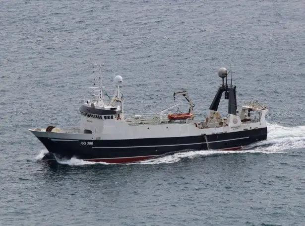 Et andet trawlere-par Skoraberg og Fuglberg landede 100 tons fisk, overvejende sej foto: kiranJ
