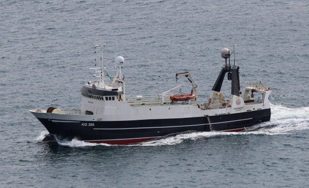  De færøske partrawler Skoraberg og Fulgberg landede 125 tons fisk foto: Kiran j