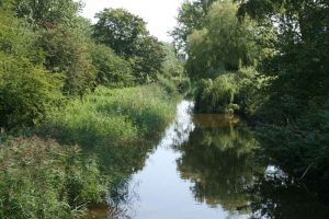 Et år efter den historiske »Grøn Treparts-aftale« er optimismen intakt, men den er også presset. Mens landbruget, naturinteresser og politikere roser samarbejdet, truer et svagt datagrundlag, manglende ressourcer og spildevandsproblemer med at underminere ambitionerne, skriver flere nyhedsmedier i dag. Foto: Wikipedia