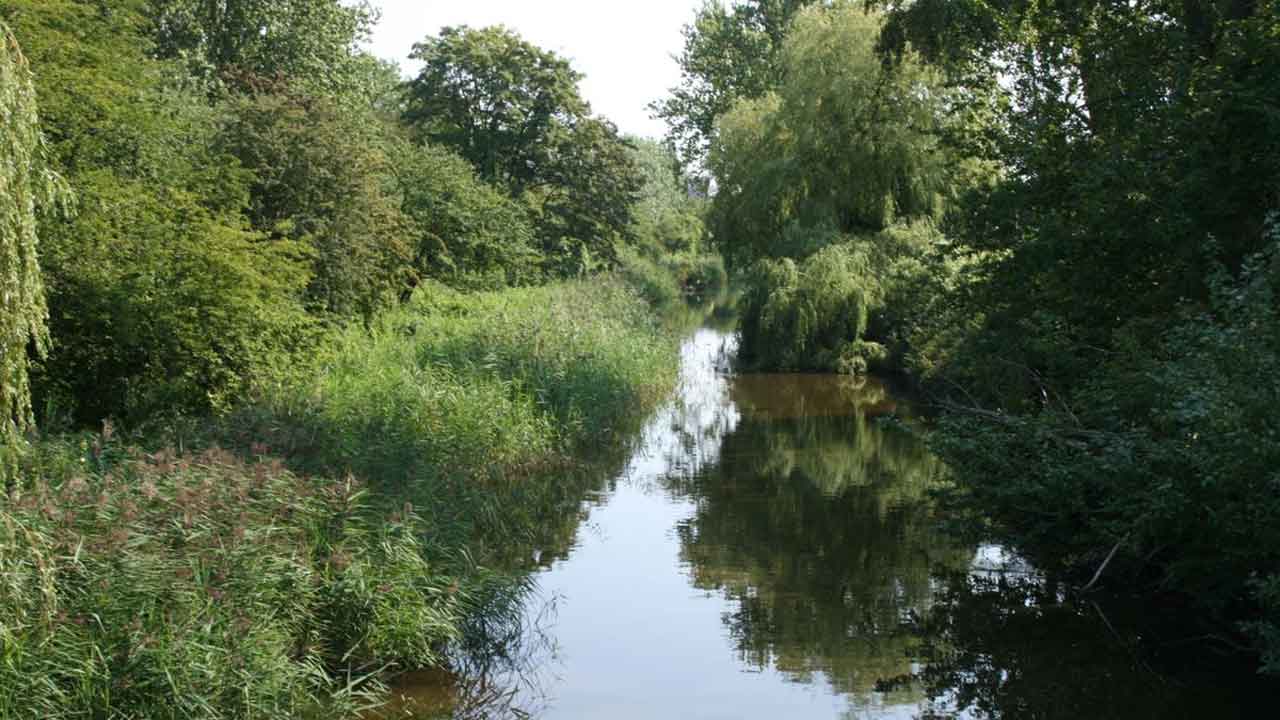 Read more about the article »Grøn Trepart« fejrer et år med historisk aftale på gyngende grund