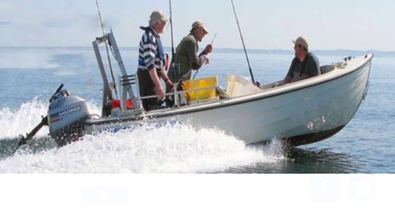 Read more about the article Småbåds-fiskerne sender åbent brev til ordførere samt ministre omkring sælerne