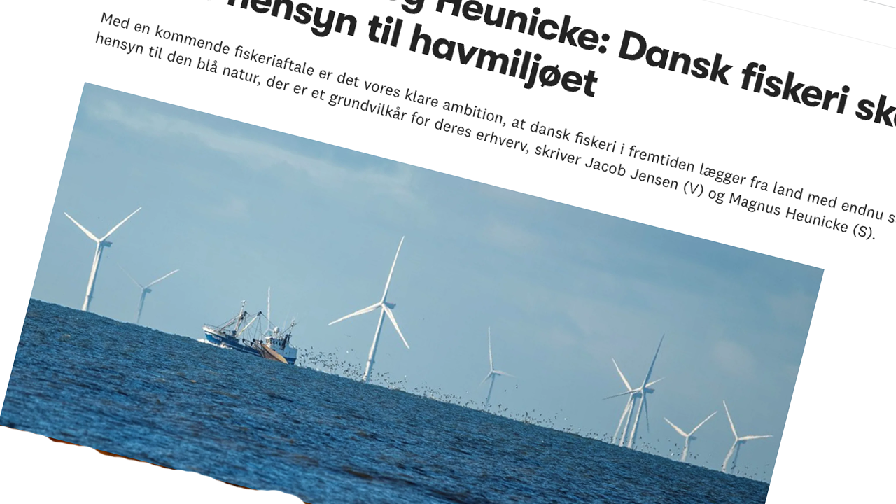 Read more about the article Jensen og Heunicke: Dansk fiskeri skal tage større hensyn til havmiljøet