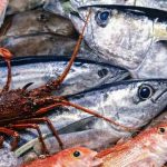 En Lokal fiskehandler i det nordjyske betaler nu selv kundernes moms og overvejer at forlænge ordningen, mens nye tal viser stor lyst til at spise mere fisk, hvis prisen falder. snapshot FiskerForum.dk