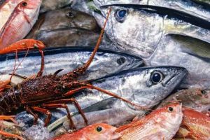 En Lokal fiskehandler i det nordjyske betaler nu selv kundernes moms og overvejer at forlænge ordningen, mens nye tal viser stor lyst til at spise mere fisk, hvis prisen falder. snapshot FiskerForum.dk