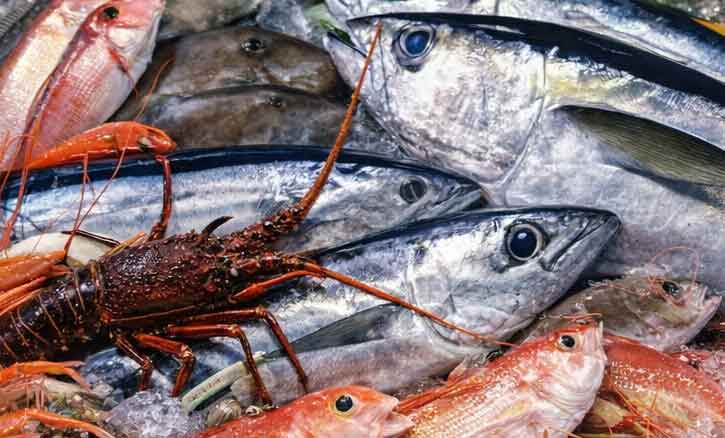 Read more about the article Fiskehandler gør det regeringen ikke tør: Fjerner momsen på fisk, betalt af egen lomme