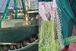 trawl- hesterejer - vadehavet - foto: fb Jens Frich