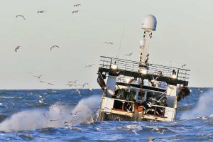 Nu får danske fiskere endelig kompensation for tabte fiskekvoter efter brexit - Foto PmrA