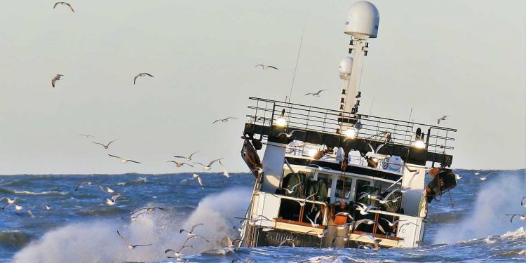Nu får danske fiskere endelig kompensation for tabte fiskekvoter efter brexit - Foto PmrA