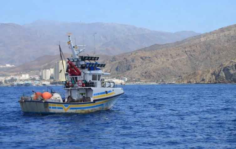 Read more about the article Spanien hjælper fiskerne, mens Danmark ser til