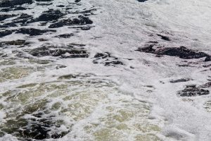 Miljø-organisationerne var informeret om udledningen af spildevand til Øresund