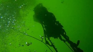 Fiskeskipperne Jens Olsen og Peter Olsen bruger det meste af deres tid på havet. I disse dage er det dog ikke kun for at fiske. Det er også for at samle gamle fiskenet, tabte redskaber og andet affald, der stammer fra fiskeriet, op fra havet: