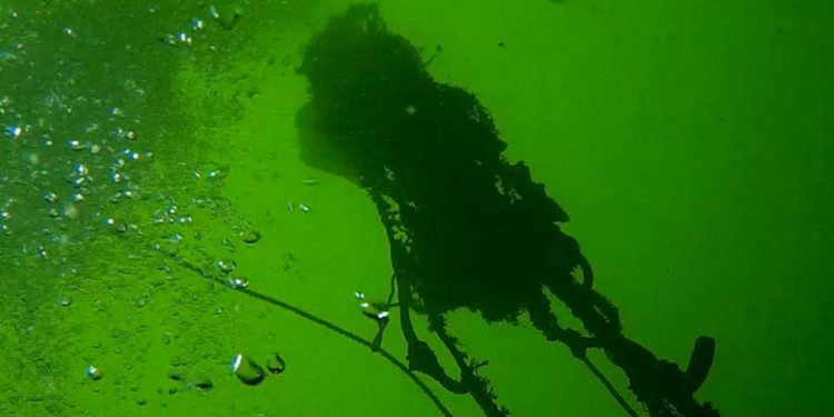 Fiskeskipperne Jens Olsen og Peter Olsen bruger det meste af deres tid på havet. I disse dage er det dog ikke kun for at fiske. Det er også for at samle gamle fiskenet, tabte redskaber og andet affald, der stammer fra fiskeriet, op fra havet: