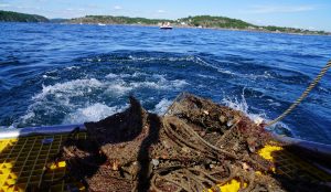 Norge rydder op i spøgelsesgarn i Oslofjorden