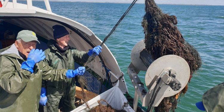 LLH: Efterladte spøgelses-garn i de danske farvande stammer fra ulovligt fiskeri