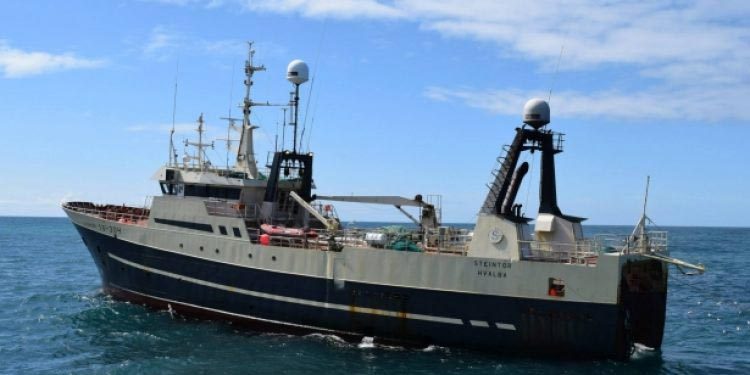 Færøerne: Trawlere, garnfartøjer og linebåde har travlt foto: Steintór - ZHammer