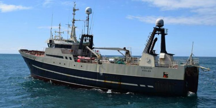 Færøerne: Færøsk trawler lander god fangst af hellefisk foto: Stentór