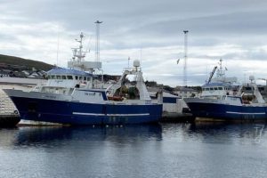 I Runavík landede de to trawlere **Stelkur** og **Bakur** 137,5 tons sej til Faroe Origin foto: FS-Fiskur