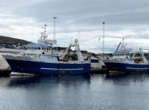 I Runavík landede de to trawlere **Stelkur** og **Bakur** 137,5 tons sej til Faroe Origin foto: FS-Fiskur