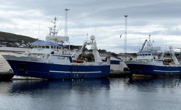 I Runavík landede de to trawlere **Stelkur** og **Bakur** 137,5 tons sej til Faroe Origin foto: FS-Fiskur