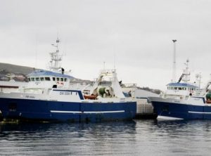 I Runavík landede partrawlerne Stelkur og Bakur 75 tons til Faroe Origin, en fangst der overvejende bestod af den store torskefisk, sejen.