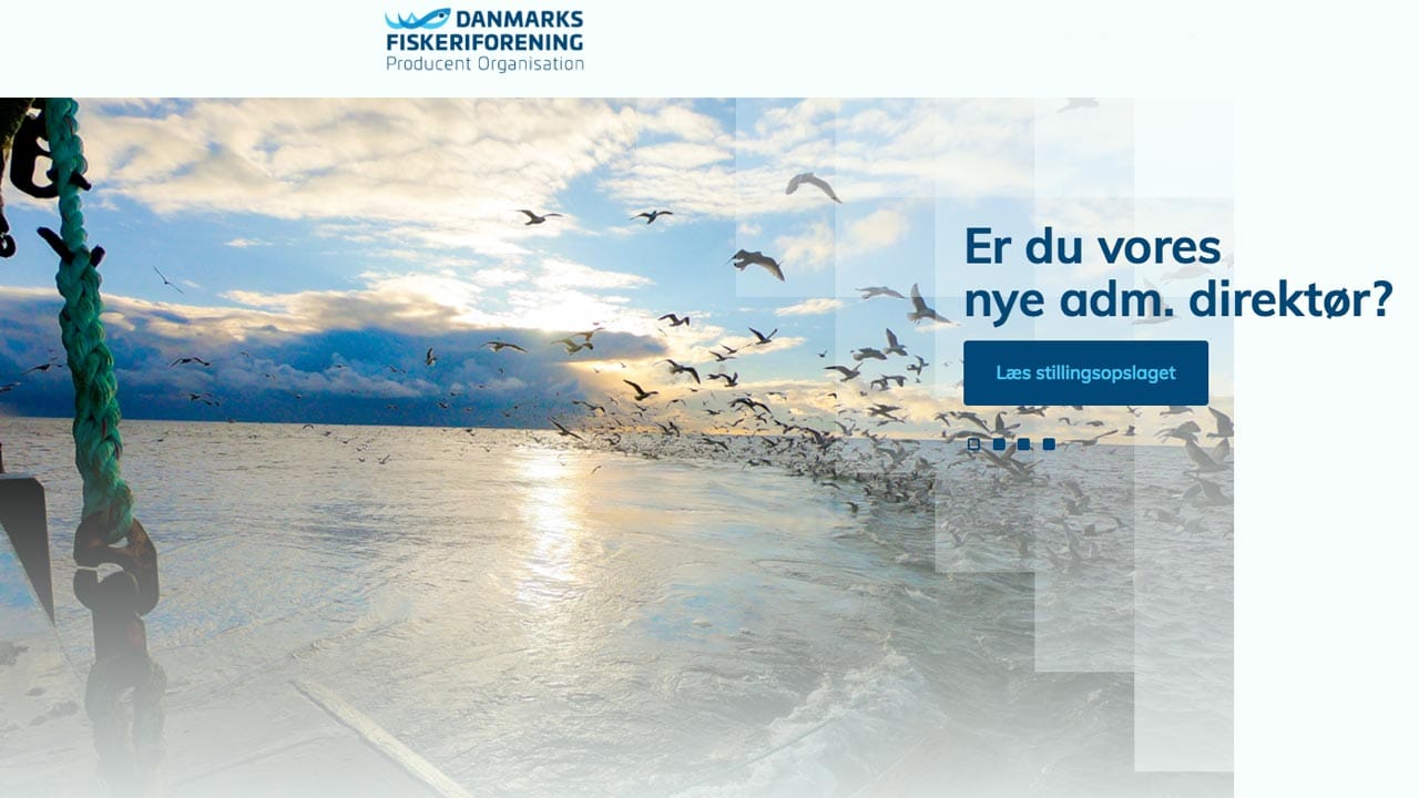 Read more about the article Niels Wichmann stopper som direktør i Danmarks Fiskeriforening