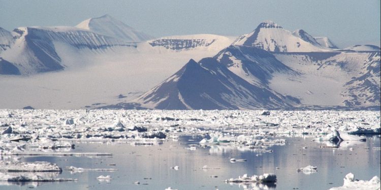 Brexit-aftalen betød nemlig et farvel til noget af det britiske fiskeri og ifølge mediet Politico er forskellen, at EU går efter en fiskekvote på 24.000 ton, mens Norge fastholder at den kun er lidt over 18.000 tons. foto: Svalbard
