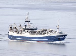 Færøerne: Fiskeriet efter Blåhvilling er koncentreret omkring Færøerne blandt andet med den grønlandske trawler Tasilaq