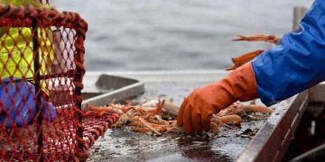 Fremtidens fiskeri i de indre farvande: Nyt seminar kobler grøn omstilling med sikkerhed på dækket. foto: FiskerForum.dk